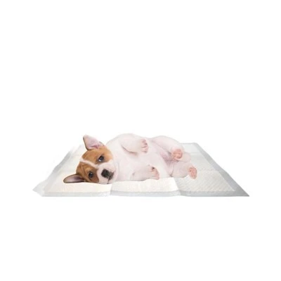 Bezpečný materiál 2000 ml Absorpční jednorázová esenciální olej Dog Noc Training Pad