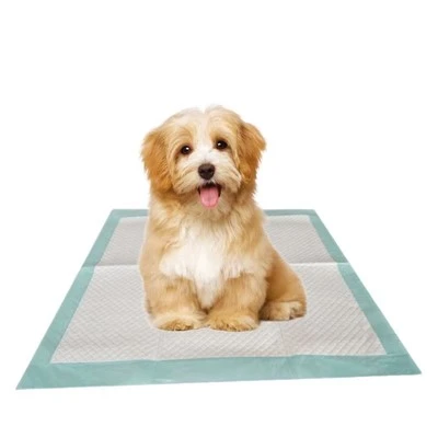Hushpet Green Tea Disvardable Puppy Pad